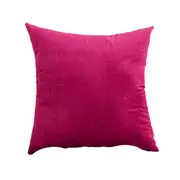 NNEOBA Pillow Cases Cushion Cover {Velvet}