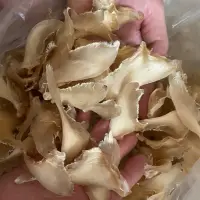 在飛比找蝦皮購物優惠-水鯊中勾魚翅1份～各式魚翅，花膠，乾鮑，車輪牌鮑魚罐頭，南北