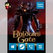 Baldurs Gate Enhanced Edition for PC Game Steam Key Region Free