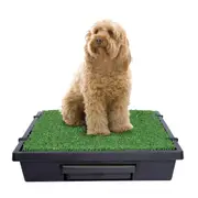 PetSafe® Pet Loo® Pet Toilet - Medium PWM00-14498
