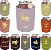 Retro Colored Beer Can Coolers (Set of 10) - Funny Gold Drinking Designs - Girls Trip Gifts Favors - Bachelorette Party - Adult Party Favors