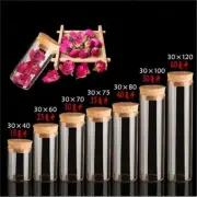 Small Glass Test Tube with Cork Stopper Bottles Jars Vials