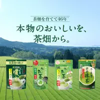 在飛比找蝦皮購物優惠-伊藤園宇治抹茶綠茶粉玄米焙茶沖飲冷泡本土袋裝