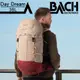 BACH Day Dream 40 登山健行背包【紅棕色】36L-289930