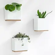 Kazai. Wall Planters -Alma- | 3 Modern Hanging Plant Pots Made of Resin | Plant Holder Set for Indoor Plants, Artificial Plants and More | White, Standard