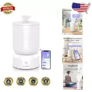 Versatile 3L Smart Humidifier with Essential Oil Box - Perfect for Home & Office