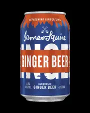 James Squire 6 Ginger Beer - 4 Bottles