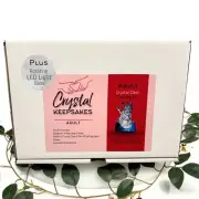 Adult Crystal Clear Casting Kit with BONUS Rotating LED Light Display Base
