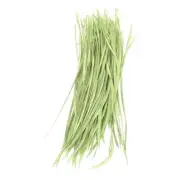 100 Pcs 5-7" Feathers Long Artificial Goose Feather Hat Trimming Light Green