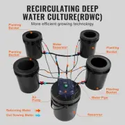 Hydroponic Deep Water Culture System 4 Bucket 20L Recirculating Grow Setup