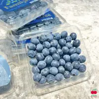 在飛比找momo購物網優惠-【舒果SoFresh】美國加州藍莓_約125克x6盒(冷藏配