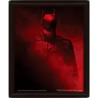 在飛比找蝦皮商城優惠-DC 蝙蝠俠 3D海報含框 (VENGENCE )/Batm