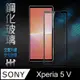 【HH】SONY Xperia 5 V (6.1吋)(全滿版) 鋼化玻璃保護貼系列