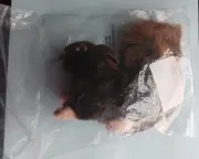 NIP Sealed FOLKMANIS *RED SQUIRREL* Finger Puppet Plush Stuff Toy