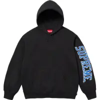 在飛比找蝦皮商城優惠-SUPREME FW23 SLEEVE ARC HOODED