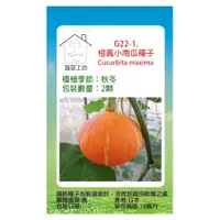 在飛比找PChome24h購物優惠-G22-1.橙鳳小南瓜種子
