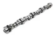 Fits Ford FE Solid Roller Cam