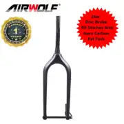26er*5.0" Carbon Fat Bike Fork Snow Beach MTB Bicycle Forks Disc Tapered Fork