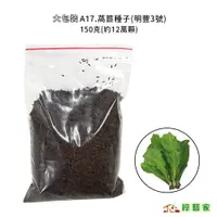 在飛比找蝦皮購物優惠-大包裝 A17.萵苣種子150克(約12萬顆)(有藥劑處理)