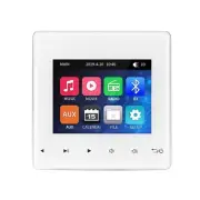 Home Theater Bluetooth Touch Key Stereo Ceiling Speaker Digital Wall Amplifier