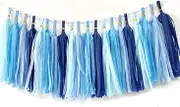 Tissue Paper Tassels Garland Banner for Party Decorations - Table Decor for Wedding, Birthday, Baby Shower, Nursery (20, Lt-Blue+Blue+Sky Blue+Royal Blue)
