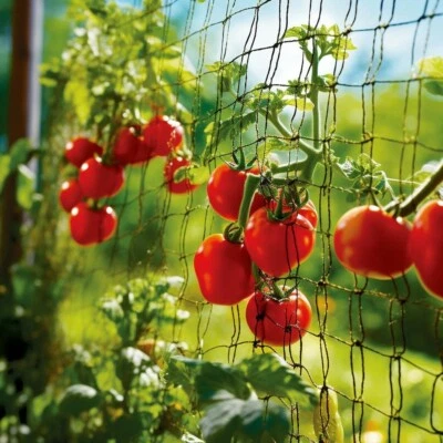 Trellis Netting PDGROW Heavy Duty Garden Trellis Netting 6 x 15 ft Trellis Ne...