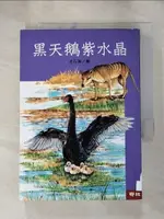 【書寶二手書T1／兒童文學_HM4】黑天鵝紫水晶－沈石溪作品集_沈石溪