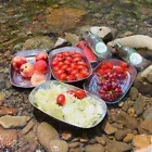 6 Styles European-style Tinplate Fruit Plate Outdoor Camping