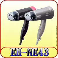 在飛比找Yahoo!奇摩拍賣優惠-《三禾影》Panasonic 國際 EH-NE43 負離子吹