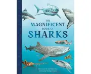 The Magnificent Book of Sharks