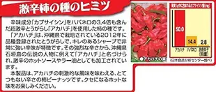 【10包入】日本空運 沖繩縣產 激辛柿の種 60g 激辛柿種 超辣花生 辣椒 像 18禁咖哩 18禁洋芋片【水貨碼頭】