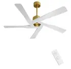 WINGBO 64" ABS DC Ceiling Fan No Light, 5 Blade ABS Plastic Ceiling Fan with...