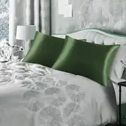 Satin Pillowcase Set of 2 Silk Pillow Cases for Hair and Skin Satin Pillow Covers 2 Pack with Envelope Closure (51*76cm Light Green)