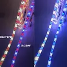 12V 5M 5pin 5050 300 LED Strip Lights RGBW RGBWW Remote Controller Power Supply