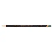 Derwent Chromaflow Coloured Pencil Cactus