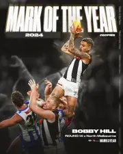 Collingwood magpies afl football CHAMPION TEAM POSTER,BARGAIN,1
