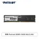 [欣亞] 博帝 Patriot DDR5-5600 8G(CL46)