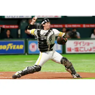 SGA NPB 2019 日職 福岡軟銀鷹 甲斐拓也 公仔 甲斐キャノン 絕版背號 WBC