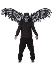 Fallen Angel Mask & Wings