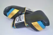 Casanova "the Apollo Creed" Boxing Gloves Extra Protective Hook and Loop