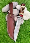 Fixed Blade Knife with Sheath 11.5 Inch Handmade Custom Damascus Hunting Knife