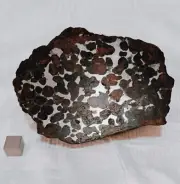 Meteorite Fusion Crust 601 Grams Pallasite Kenya