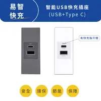 在飛比找蝦皮商城優惠-國際牌搭配易智快充USB TyPEC 插座 快速充電 高雄永