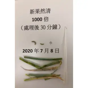 果然清 防蟲害剋星(青蟲類 黃條葉蚤 銀葉粉蝨 蚜蟲) 植物精油萃取驅避害蟲 也防病菌 增加藥劑