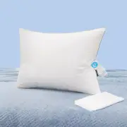 Natural Goose down Pillows: Luxury Hotel Bed Pillow with 750 Fill Power, White G