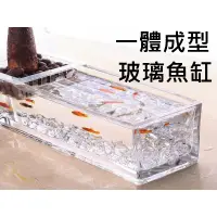 在飛比找蝦皮購物優惠-一體成型 魚缸 鬥魚缸 長方形 生態缸 小魚缸 角蛙缸 水培