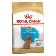 Royal Canin Poodle Puppy Dry Dog Food 3 Kg