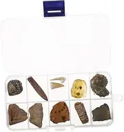 Generic 10pcs Specimens Sea Creature Amber Flint Archeology Decor Dinosaur Science Kit for Paleontology Stem Science Kit Real Specimens Arrowhead Trilobite