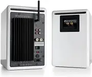 Audioengine A5+ Wireless Bookshelf Speakers with DS2 Speaker Stands (White)