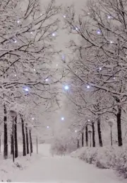 Oak Street Snowy Trees LED Wall Art 6Hr Timer Christmas Decoration Artwork 6"x8"
